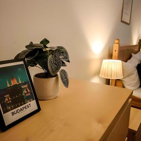 R171 Elitehost Raday Apartment Budapeszt Zewnętrze zdjęcie